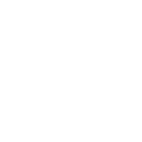 Kelkheim Lizzards Logo weiss