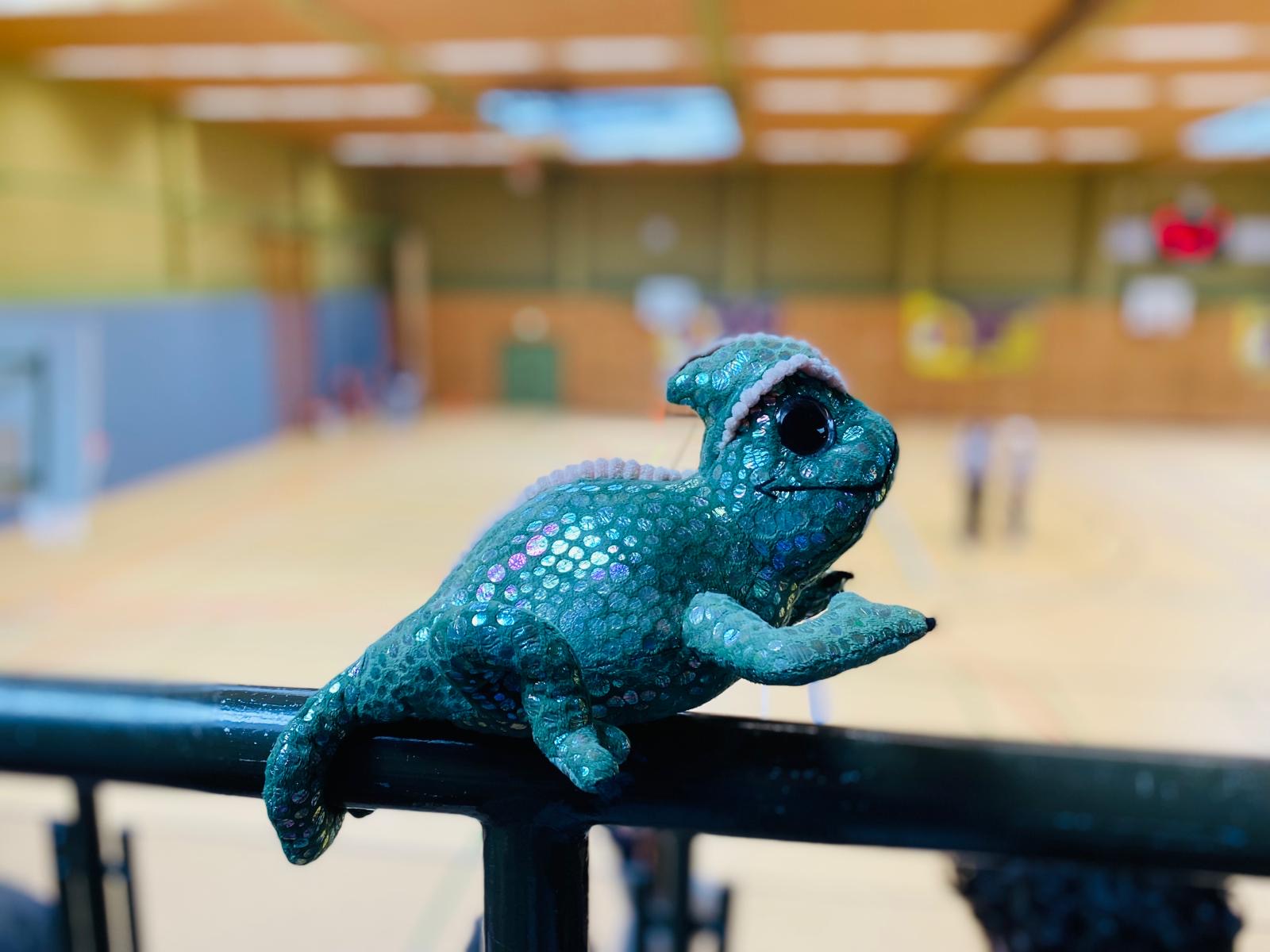 Blaugrünes Eidechsen-Stofftier auf einem Geländer mit einer Indoor-Sportarena im Hintergrund.